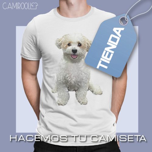 tienda-hacemos-tu-idea-camirooll